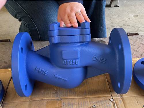 铸铁升降式止回阀正面